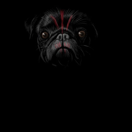planet of the pugs planet of the pugs no text neatoshop planet of the pugs planet of the pugs no text neatoshop