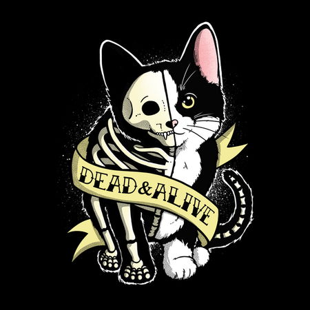 schrodinger cat neatoshop christmas cat sweater
