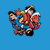 The Big Knot tiny thumbnail