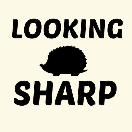 Look In Sharp Hedgehog Hedgehog LOOKING SHARP - NeatoShop