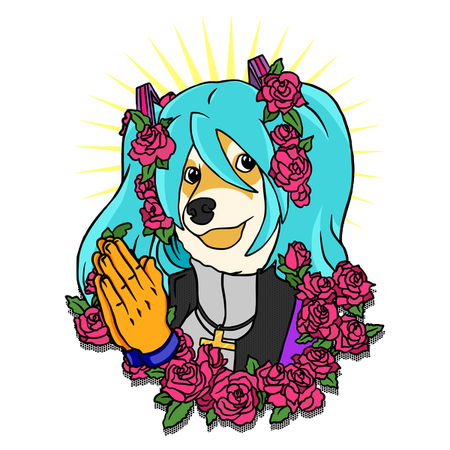 Doge Nova Skin