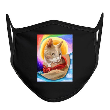 Cat's Ascension to Rainbow Bridge tiny thumbnail