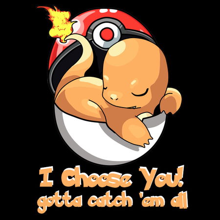 Charmander deals pokemon ball