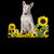 Bull Terrier sitting in Sunflower Garden tiny thumbnail
