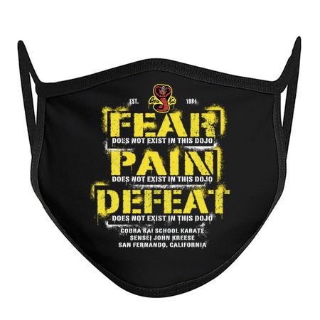 Fear, Pain, Defeat Does Not Exist In This Dojo tiny thumbnail