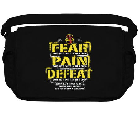 Fear, Pain, Defeat Does Not Exist In This Dojo tiny thumbnail