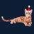 Christmas Orange Ginger Kitten tiny thumbnail