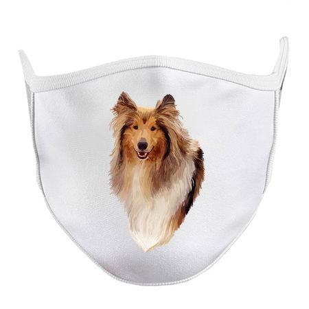 Rough Coated Sable White Collie Dog Portrait tiny thumbnail