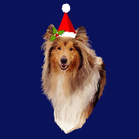 Collie christmas hot sale