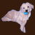 Great Pyrenees Cute Puppy with Chew Toy tiny thumbnail