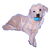 Great Pyrenees Cute Puppy with Chew Toy tiny thumbnail
