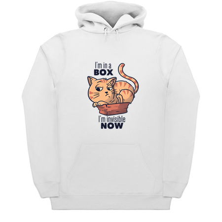 I'm In A Box, I'm Invisible Now Funny Cat Gift tiny thumbnail