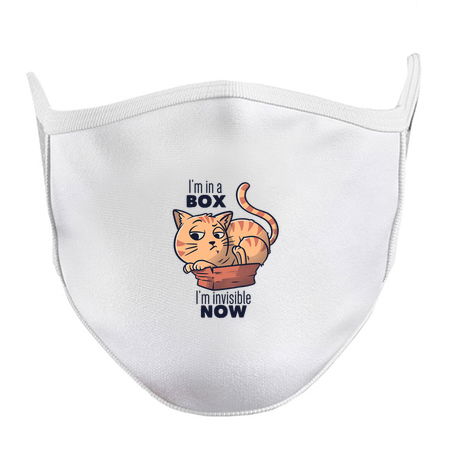 I'm In A Box, I'm Invisible Now Funny Cat Gift tiny thumbnail