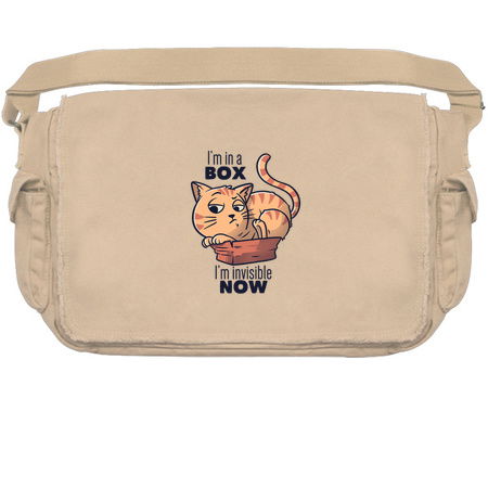 I'm In A Box, I'm Invisible Now Funny Cat Gift tiny thumbnail