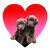 Chocolate Lab Pups Inside Heart tiny thumbnail