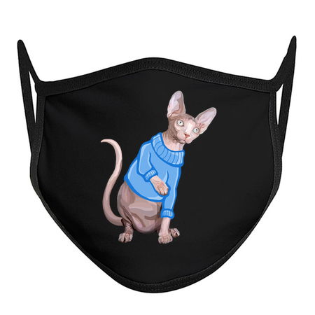 Cute Sphynx Cat with Blue Knit Sweater tiny thumbnail