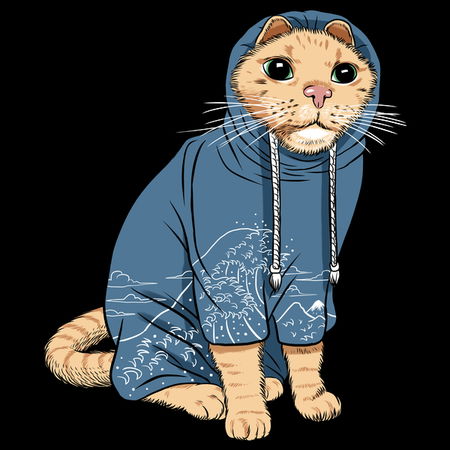 tracksuit cat