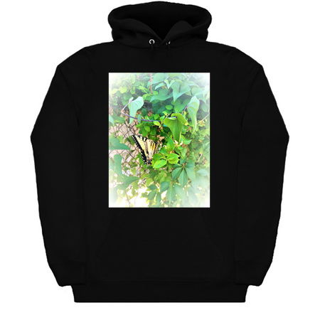 Eastern Tiger Swallowtail Butterfly in Habitat tiny thumbnail