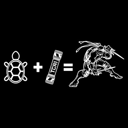 Ninja Turtle Math Ninja Turtle Equation - NeatoShop