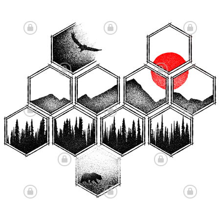 hexagon nature hexagon nature