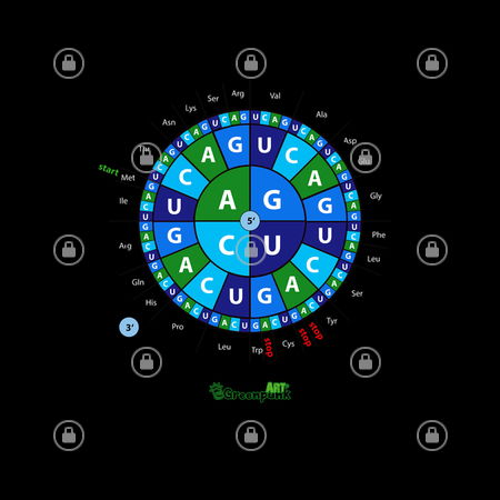 Amino Acid Codon Wheel - NeatoShop