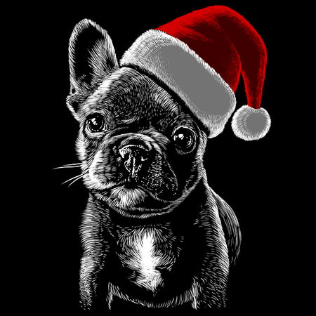 Perro Pug Navidad - NeatoShop