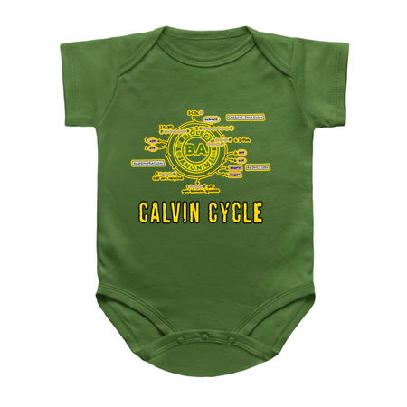 Calvin cycle tiny thumbnail