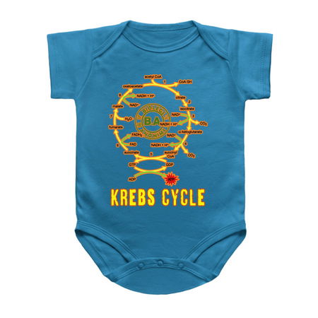 Krebs cycle tiny thumbnail