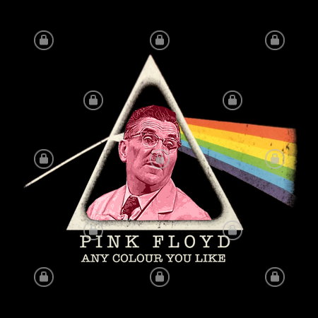 Floyd Roses Meme Pink Floyd Meme