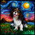 Tri Color Cavalier King Charles Spaniel Night tiny thumbnail