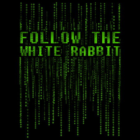 Follow The White Rabbit Matrix
