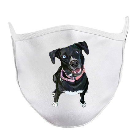 Charismatic Canine Black Labrador Mix tiny thumbnail