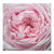 Delicate Pink Rose Flower Petal Pattern tiny thumbnail