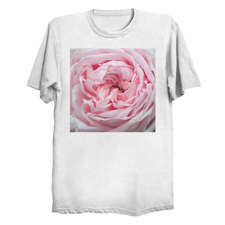 Delicate Pink Rose Flower Petal Pattern tiny thumbnail