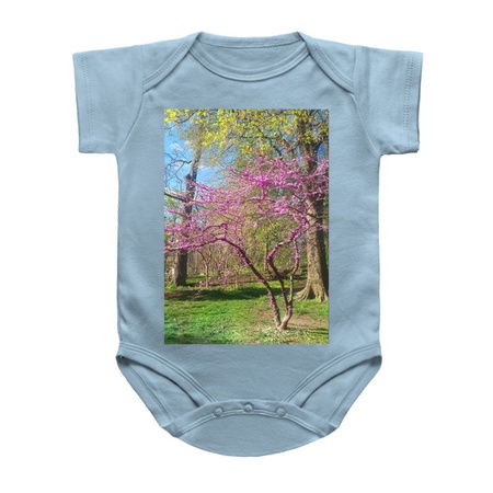 Blooming Spring Scenic Park Landscape tiny thumbnail