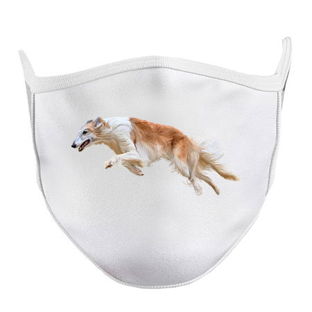 Running White and Tan Borzoi Dog tiny thumbnail