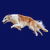 Running White and Tan Borzoi Dog tiny thumbnail