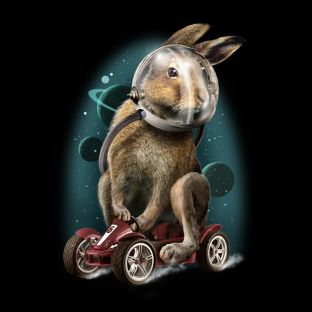 Bunny Rabbit Racer RABBIT RACER - NeatoShop