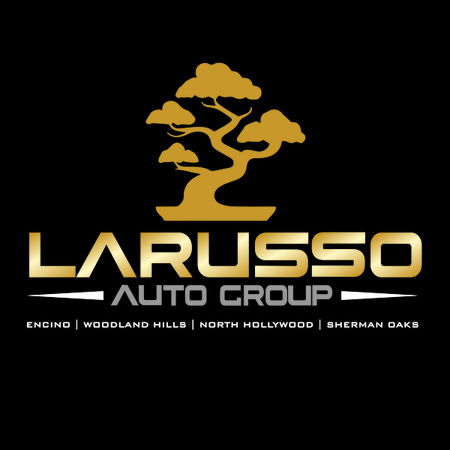 Larusso Auto Group NeatoShop larusso-auto-group-neatoshop