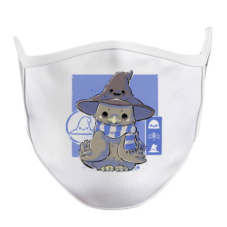 Harry Potter Ravenclaw Face Mask