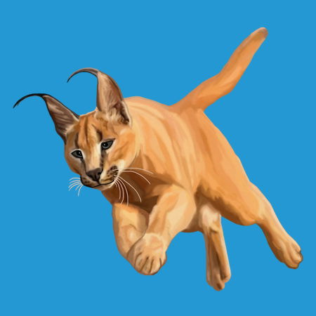 Buy sales caracal cat