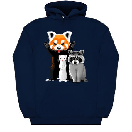 Raccoon, ferret and red panda tiny thumbnail