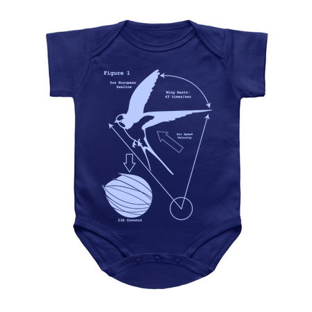 The Airspeed Velocity of an Unladen European Swallow tiny thumbnail