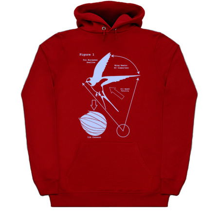 The Airspeed Velocity of an Unladen European Swallow tiny thumbnail