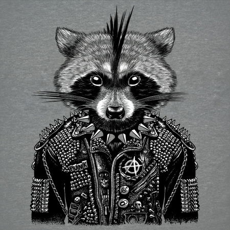 Punk Rock Racoon Punk raccoon - NeatoShop
