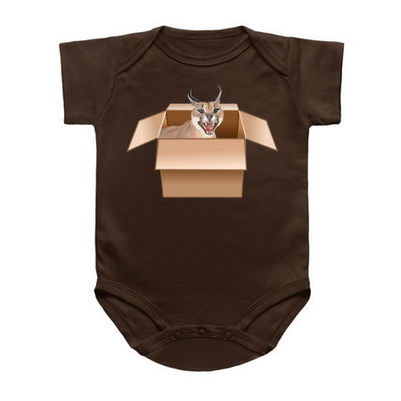 Caracal Cat Peeping from Cardboard Box tiny thumbnail