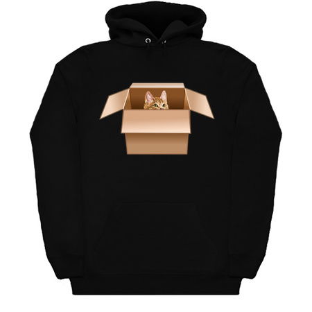 Ginger Kitten Peeking from Cardboard Box tiny thumbnail