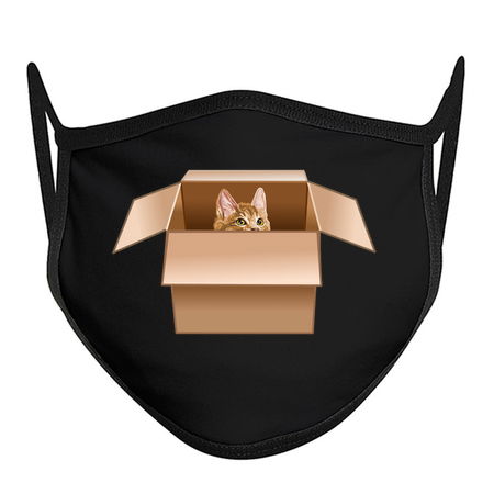 Ginger Kitten Peeking from Cardboard Box tiny thumbnail