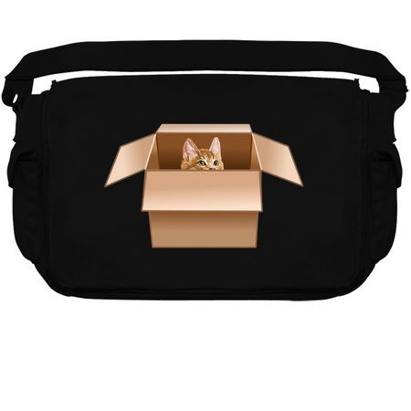 Ginger Kitten Peeking from Cardboard Box tiny thumbnail