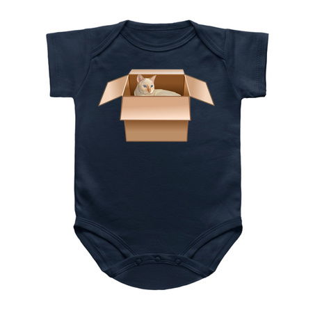 Flame Point Siamese Cat Loves Box tiny thumbnail